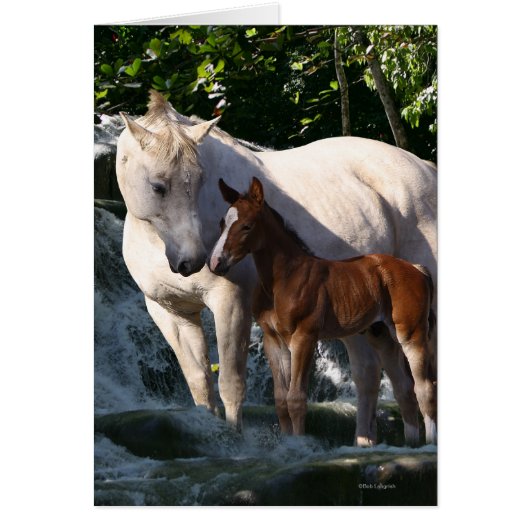 Fantasy Horses: Waterfall Cards (Front)