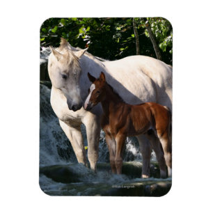 Fantasy Horses: Waterfall Magnet