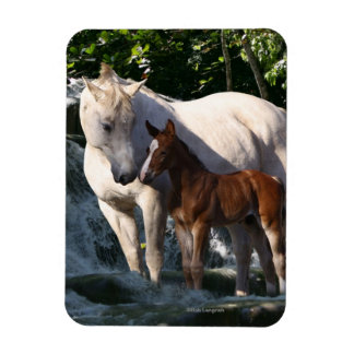 Fantasy Horses: Waterfall Magnet