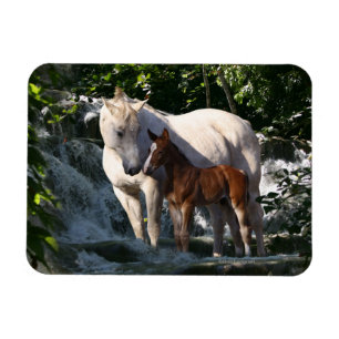 Fantasy Horses: Waterfall Magnet