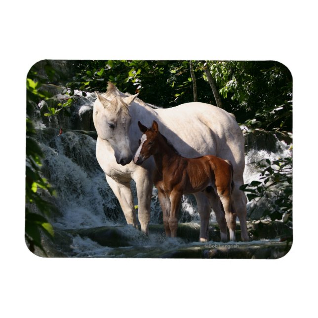 Fantasy Horses: Waterfall Magnet (Horizontal)