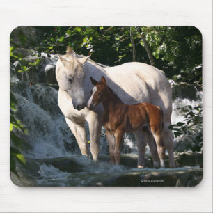 Fantasy Horses: Waterfall Mouse Pad