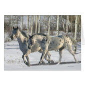 Fantasy Horses: Winter Wonderland (Front Horizontal)