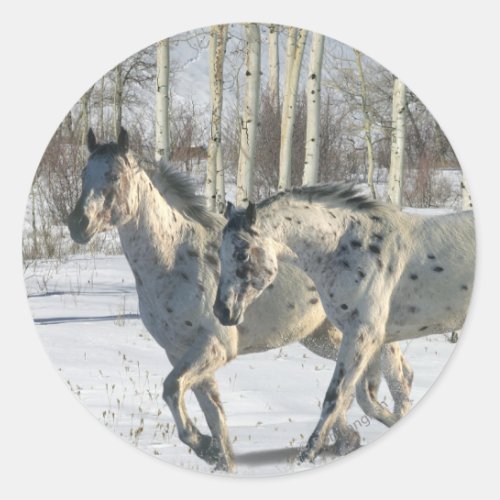 Fantasy Horses Winter Wonderland Classic Round Sticker