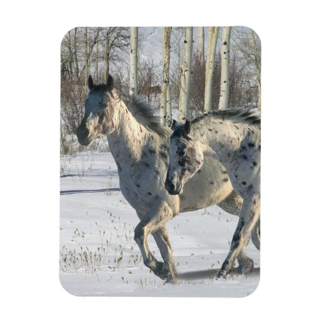 Fantasy Horses: Winter Wonderland Magnet (Vertical)