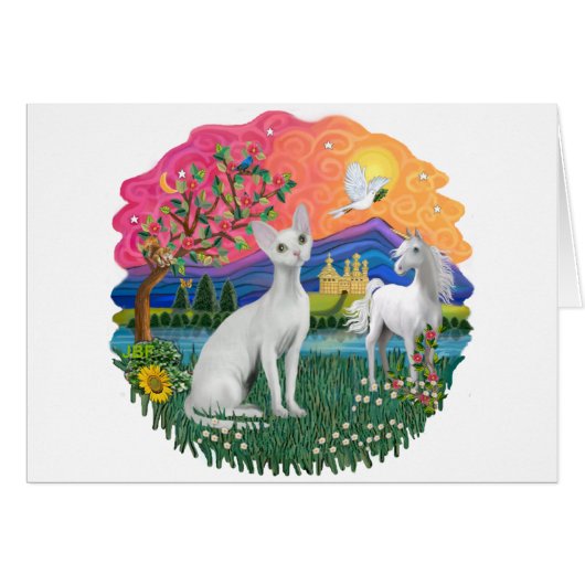Fantasy Land (ff) - Devonshire Rex cat Cards (Front Horizontal)