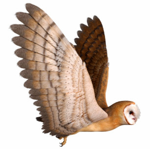 Fantasy Owl Cutout