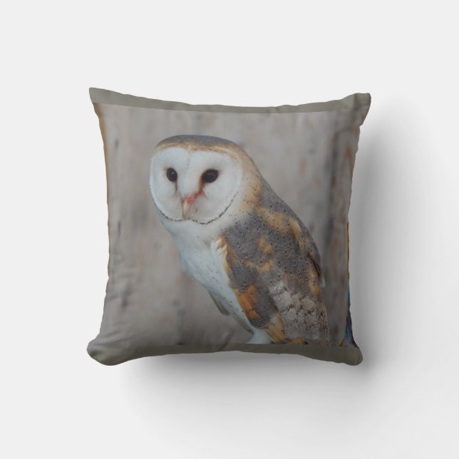 Fantasy Owl pillow (Front)