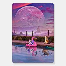 Fantasy photo of cat at the pool 