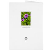 Fantasy Pink Dahlia Cards (Back)
