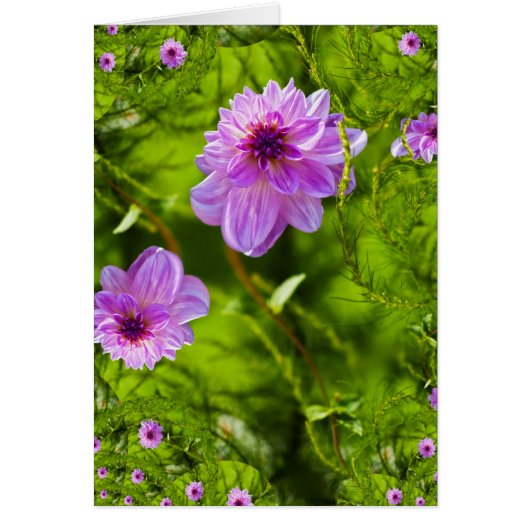 Fantasy Pink Dahlia Cards (Front)