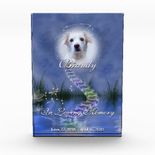 Fantasy Pond Your Pet Photo Personalized Memorial Acrylic Award