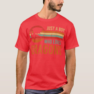Fantasy Retro Gaming Roleplay Just a Boy Who Loves T-Shirt