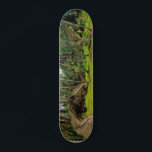 Fantasy T-Rex Tyrannosaurus Dragon battle  Skateboard<br><div class="desc">This design may be personalized by choosing the customize option to add text or make other changes. If this product has the option to transfer the design to another item, please make sure to adjust the design to fit if needed. Contact me at colorflowcreations@gmail.com if you wish to have this...</div>