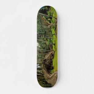 Fantasy T-Rex Tyrannosaurus Dragon battle Skateboard