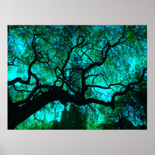 Fantasy Turquoise Tree Silhouette Poster