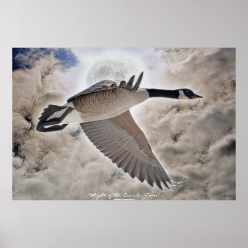 Fantasy Wildlife Art Flying Canada Goose Poster