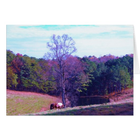 Far Away Horse in a Purple Field (Front Horizontal)