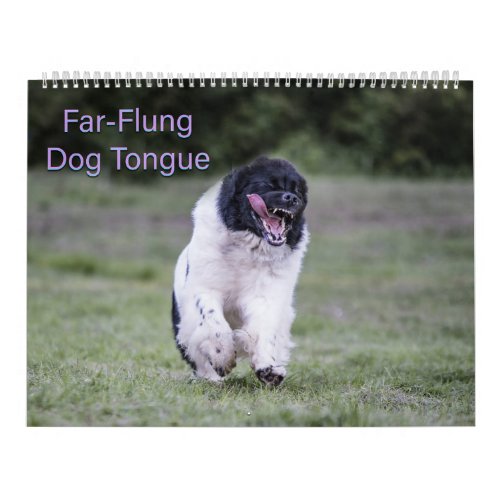 Far_Flung Dog Tongue Calendar