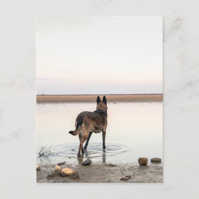 far postcard (Front)