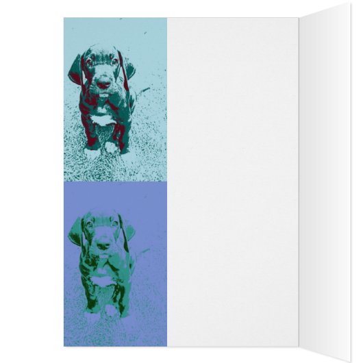 FarbMuster Doggenwelpe Calla (Inside (Left))