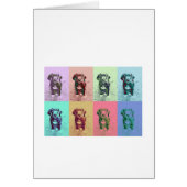 FarbMuster Doggenwelpe Calla (Front)