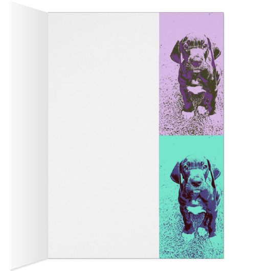 FarbMuster Doggenwelpe Calla (Inside (Right))