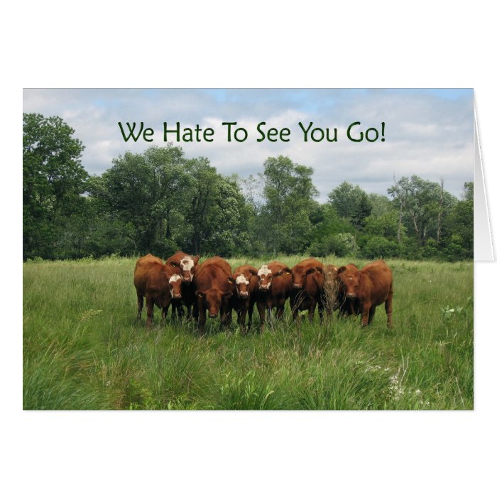 Fresh 44 Group Farewell Card