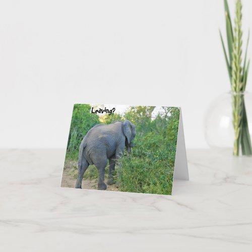 Farewell South Africa Elephant Card