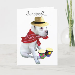 Farewell White Boxer pup with Bongos greeting card