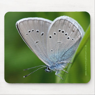 Farfalla Mousemat Mouse Pad
