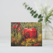 Farm - A pony grazing (Standing Front)