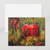 Farm - A pony grazing (Front/Back)