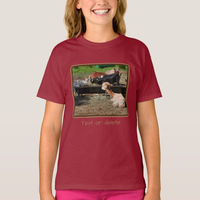Farm Animal Barnyard Friends Personalized  T-Shirt (Front)