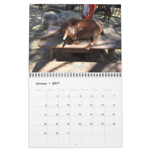 Farm Animal Calendar