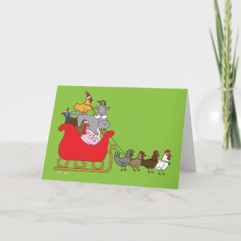 Farm Animal Christmas Holiday Card by ChickinBoots at Zazzle