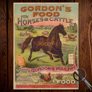 Farm Animal Food Advertising Ephemera Tissue Paper Farm Animal Food Advertising Ephemera Tissue Paper
