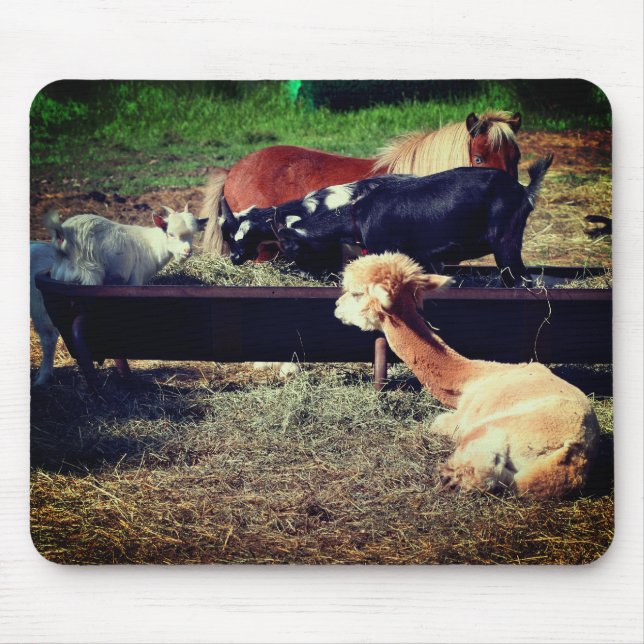 Farm Animal Friends Nature  Mouse Pad (Front)