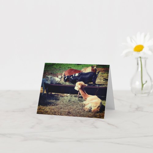 Farm Animal Friends Nature Note Card