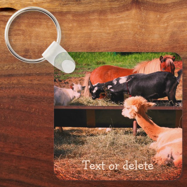 Farm Animal Friends Nature Personalized Keychain (Front)