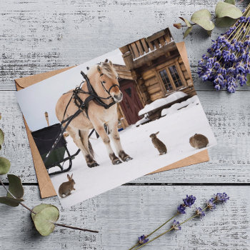 Farm Animal Talk Horse And Rabbits Postcard by Nordic_designs at Zazzle
