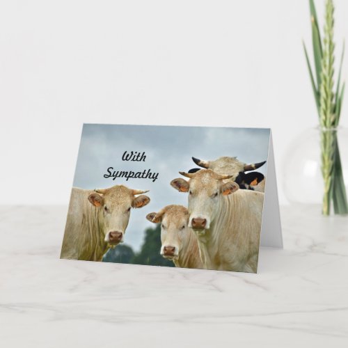 Farm Animal Tan Cows Photo Sympathy Card