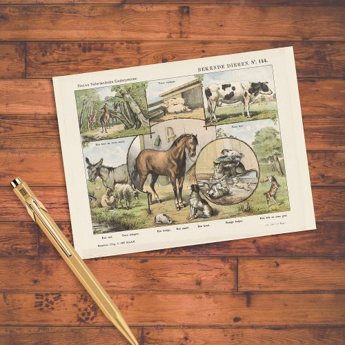 Farm Animal Vintage Dutch Artwork Postcard