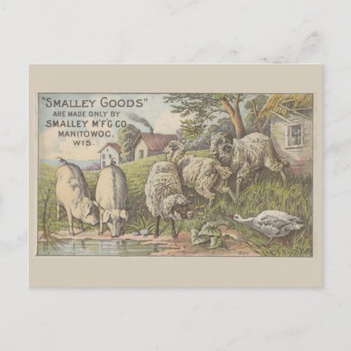 Farm Animals Advertising Ephemera Postcard