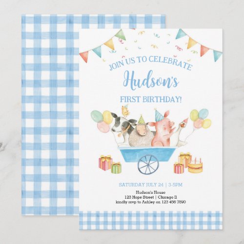 Farm Animals Blue Gingham Boy Girl First Birthday 