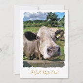 FARM ANIMALS, CUTE COW (Front)
