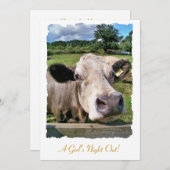 FARM ANIMALS, CUTE COW (Front/Back)