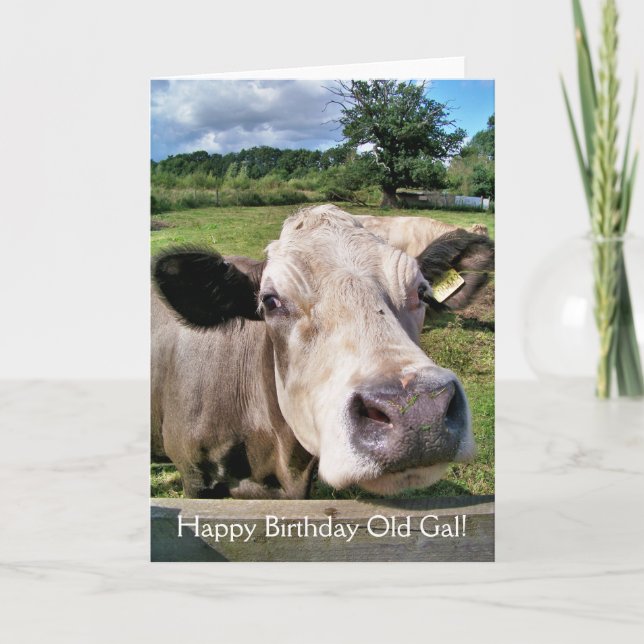 FARM ANIMALS, CUTE COW CARD (Front)