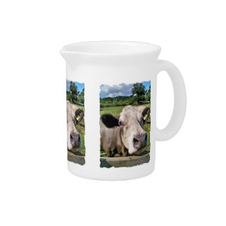 Animals Drink Pitchers | Zazzle