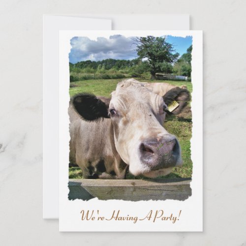 FARM ANIMALS CUTE COW INVITATION